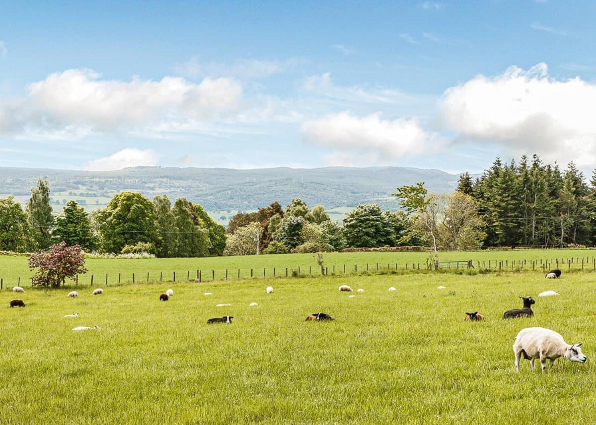 Kessock Highland Lodges North Kessock Zewnętrze zdjęcie